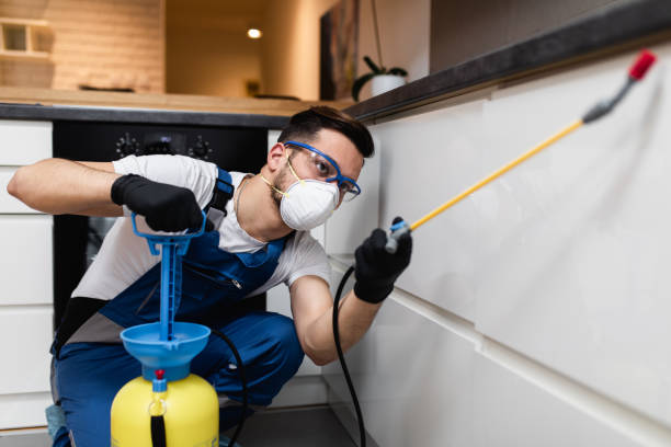 Wasp Removal Services in Necedah, WI