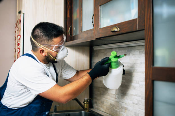 Best Local Pest Control Services  in Necedah, WI