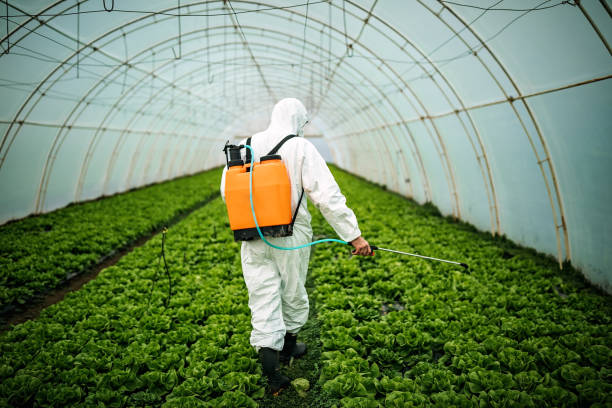 Best Best Pest Control Near Me  in Necedah, WI