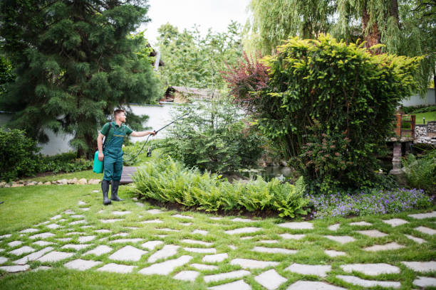Best Wasp Removal Services  in Necedah, WI