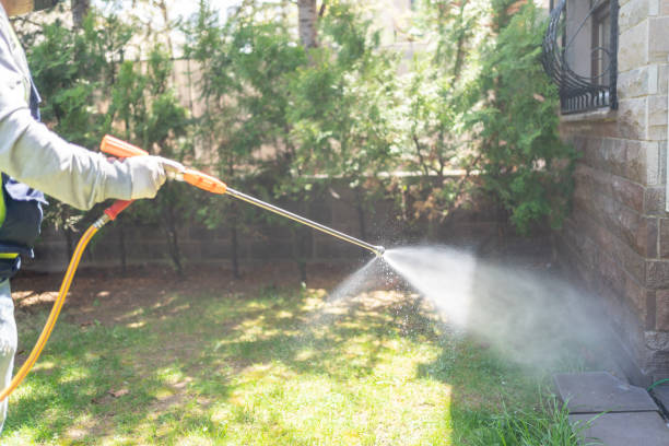 Best Emergency Pest Control  in Necedah, WI