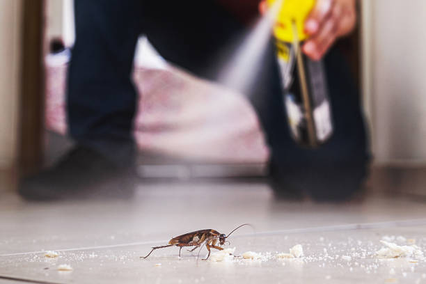 Best Cockroach Control Services  in Necedah, WI