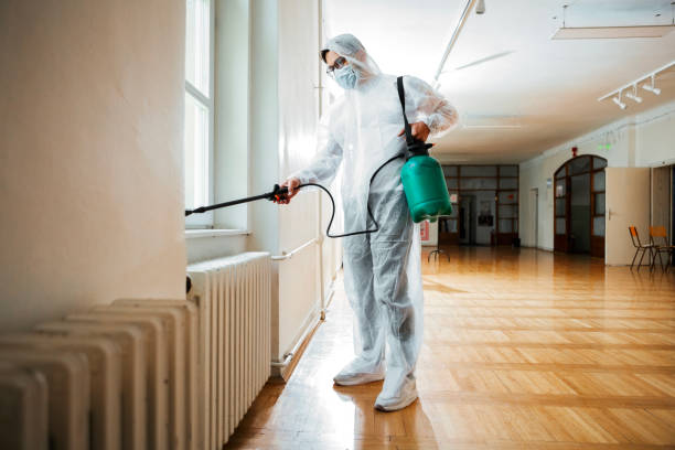 Best Bed Bug Extermination  in Necedah, WI
