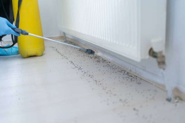 Best Wildlife Control Services  in Necedah, WI