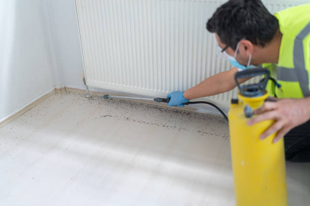 Best Pest Prevention Services  in Necedah, WI